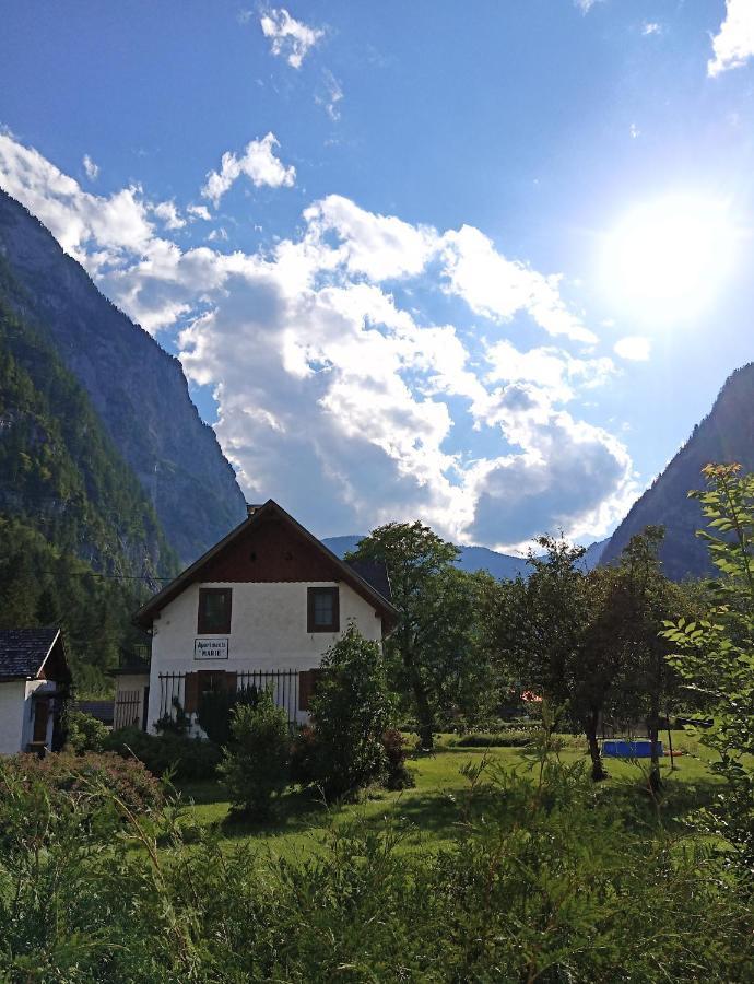 Apartments Marie B Hallstatt Eksteriør billede